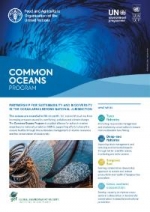 Common Oceans Program